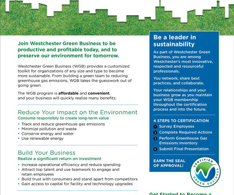 Westchester Green Business  Sales flyer